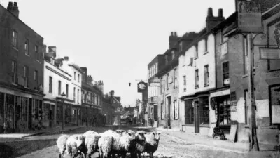 3 Sheep in High Street 1870ish G0072