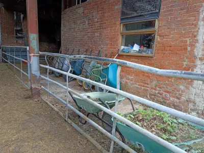 Dray ready for the Day Henry Mc Kelvey Runner Up 11 6 14