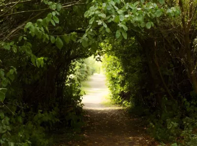 Light at the end of the tunnel Annabelle Mc Donagh Prticipant 14 6 14