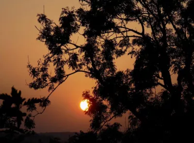 Old Faithful Annabelle Mc Donagh participant 14 6 14